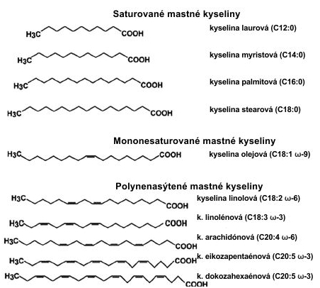 Chemická štruktúra vybraných mastných kyselín